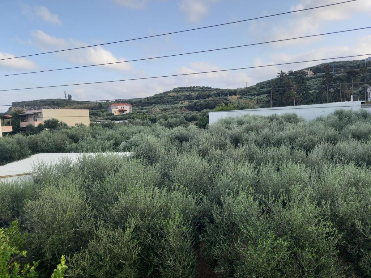 Michalis Litinas Apartments Agia Marina  Luaran gambar